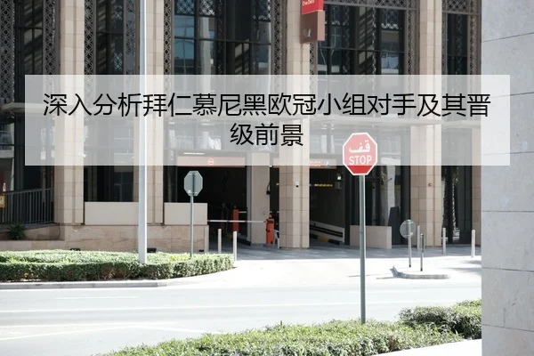 深入分析拜仁慕尼黑欧冠小组对手及其晋级前景